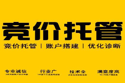 SEM广告创意与优化：成功案例分享